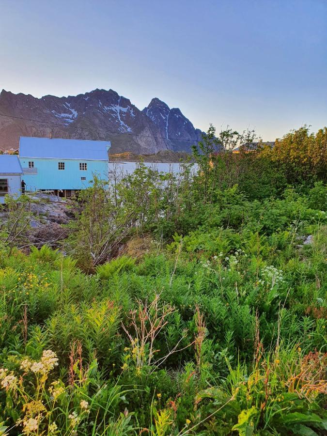 Lysvoldbrygga Bed & Breakfast Henningsvaer Ngoại thất bức ảnh